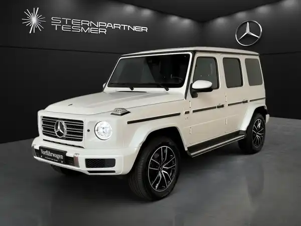 MERCEDES-BENZ G 500 (1/19)