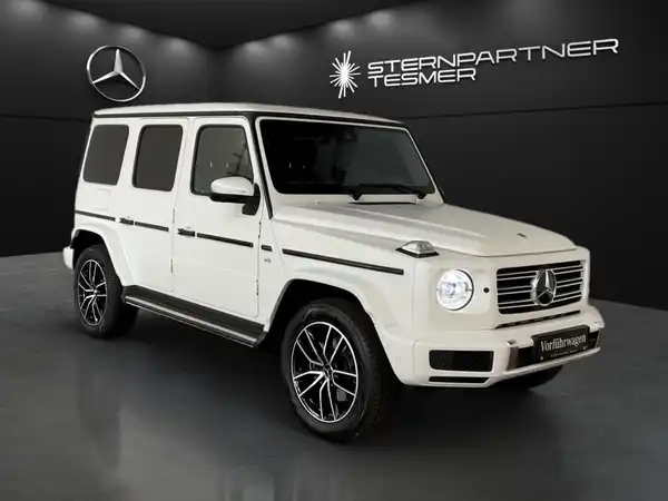 MERCEDES-BENZ G 500 (19/19)