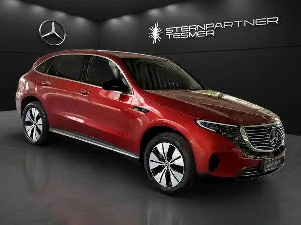 MERCEDES-BENZ EQC 400 4M (15/15)