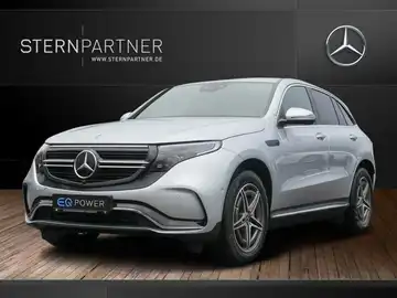 MERCEDES-BENZ EQC 400 4M (1/15)