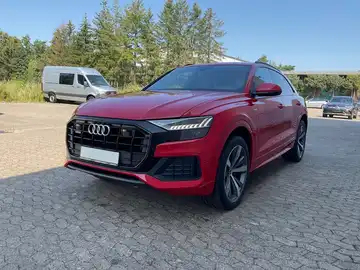 AUDI Q8 (1/20)